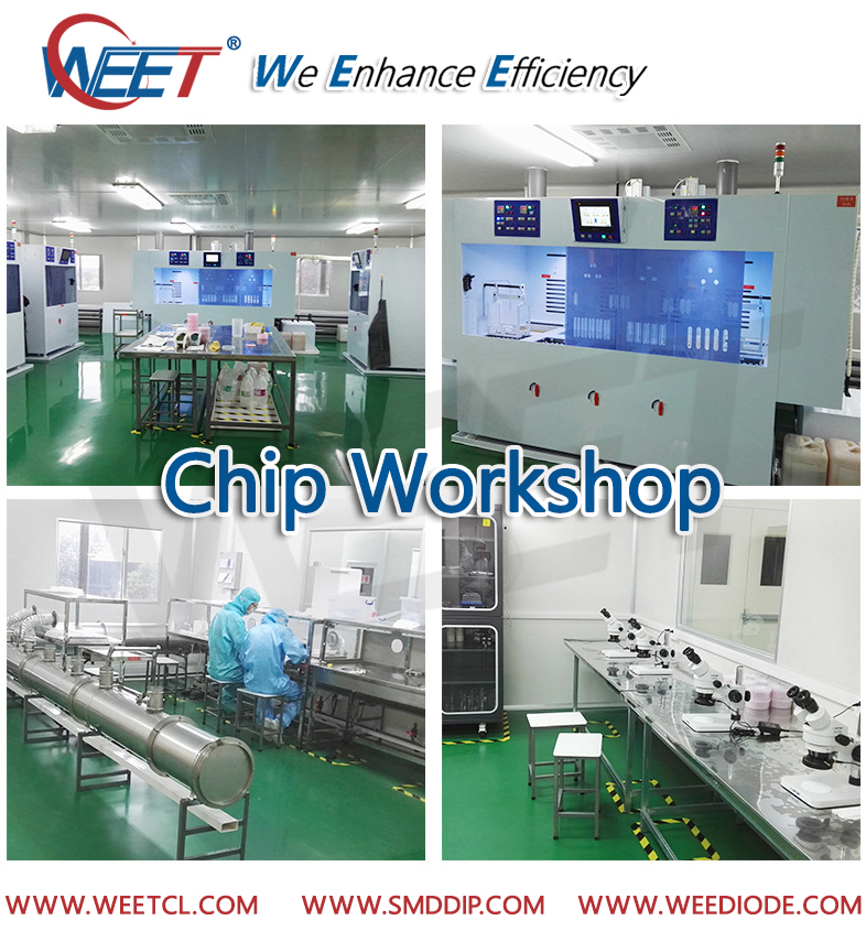 WEET Wafer Chip Workshop For Transient Voltage Suppressors and Most Diodes Rectifiers GPP Chips